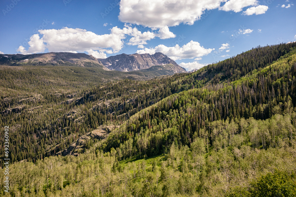 Tranquil forest with Eagles Nest in the background, Colorado Tranquil forest with Eagles Nest in the background, Colorado