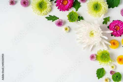 Small spring flowers arranged on white background