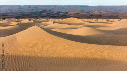 Une photo  semi aérienne d'une dune dans le  désert au Maroc, un jour d' hiver. photo