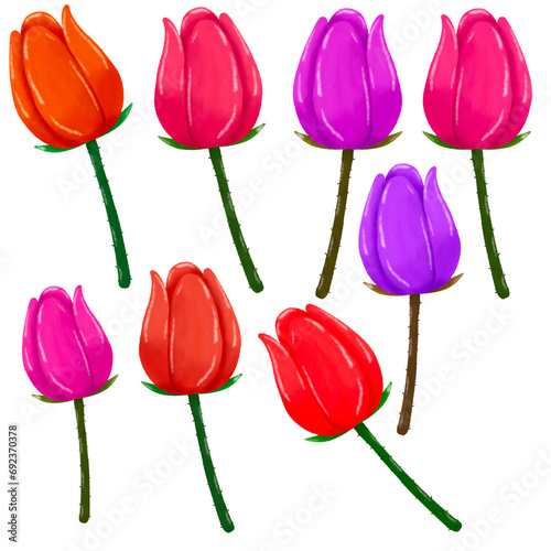 rose
