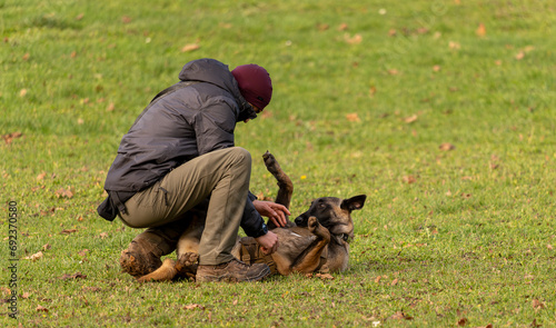 complicité entre le chien et son humain, chien de travail berger malinois jouant avec son maître pour créer de la complicité, éducation canine