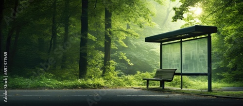 Vacant bus stop in a wooded summer area.