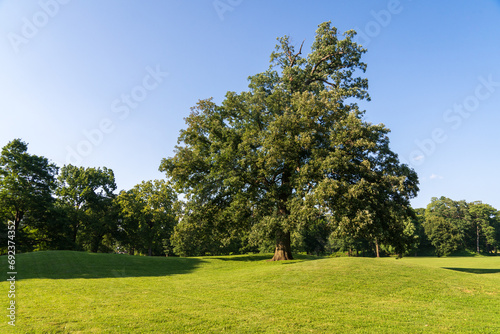 Newark Earthworks in Heath Ohio photo