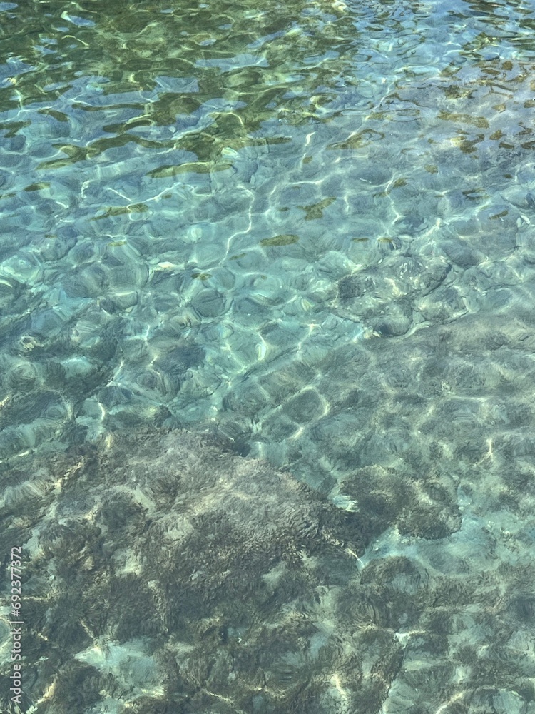 Sea water clear transparent surface with seaweed at the bottom