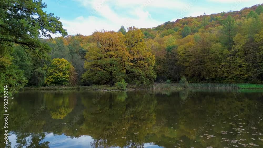 a view from the surface of the pond to a lone tree on the shore near which there is a bench for passers-by to sit on a view from the surface of the pond to a lone tree on the shore near which there is a bench for passers-by to sit on