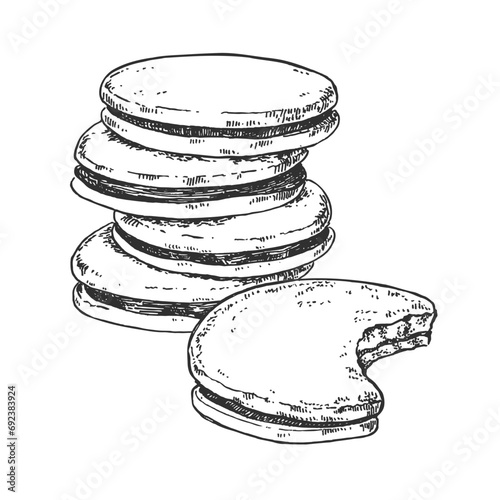 Hand drawn vector glazed with chocolate cookies illustration. Topping biscuits filled with cream, crema. Pastry design template for menu, ad, label