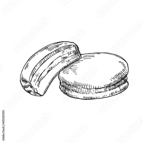 Hand drawn vector glazed with chocolate cookies illustration. Topping biscuits filled with cream, crema. Pastry design template for menu, ad, label
