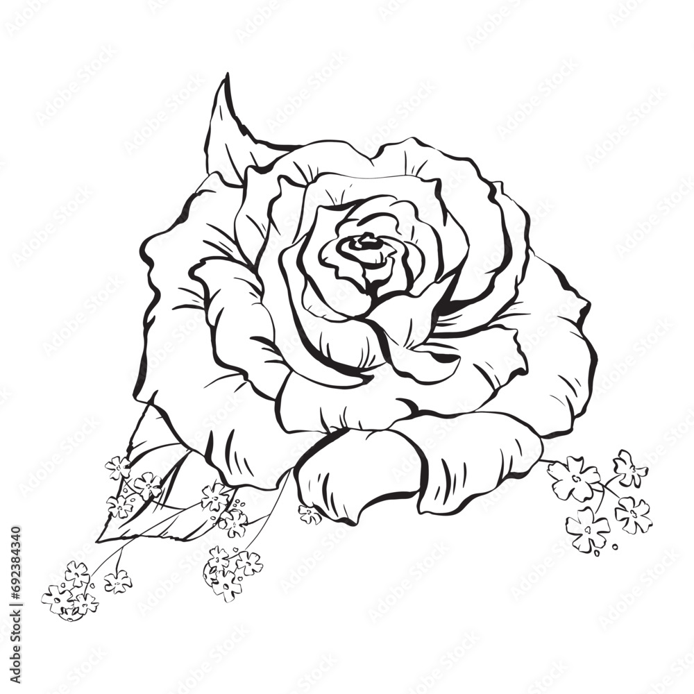 Ink: Floral composition featuring delicate open rose flowers and woodland forget-me-nots. Wildflowers and rose leaves. A stylish illustration for cards coloring prints, posters and textile printing