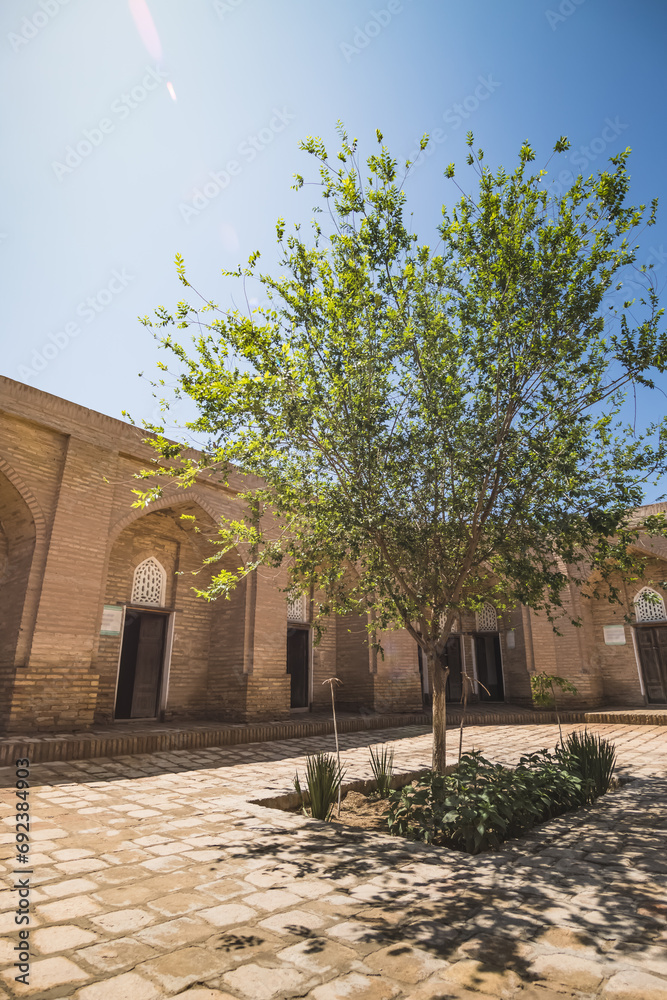 Fototapeta premium Ancient Islam Khoja Madrasah on a sunny summer day in the ancient city of Khiva in Khorezm, courtyard with a tree in the madrasah