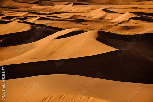Sanddünen in der Wüste Gobi, Mongolei im orangenen Licht der Abendsonne
