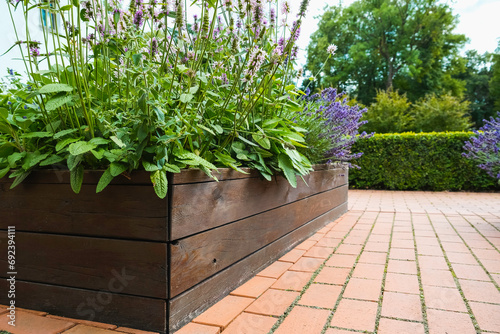 Obraz na plátně Wooden raided beds in an urban garden growing plants herbs spices berries and vegetables in the city