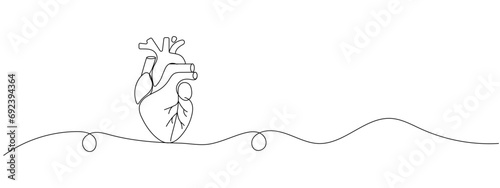 One continuous line drawing of anatomical human heart organ. Medical internal anatomy concept. Modern single line draw trendy design vector illustration