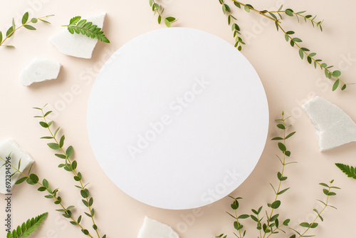 Natural beauty concept. High angle view photo of white empty circle surrounded by branches of eucalyptus and fern with white stones around on isolated pastel background with copy-space