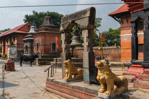 Pashupatinath dedicated to Pashupati, a form of Shiva is a UNESCO World Heritage Site in Kathmandu Valley, Nepal. photo