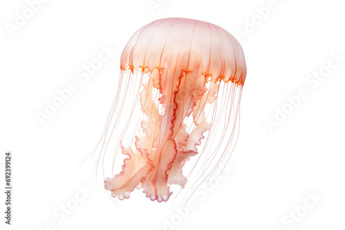 Bioluminescent Ballet: The Mesmerizing World of Jellyfish isolated on transparent background