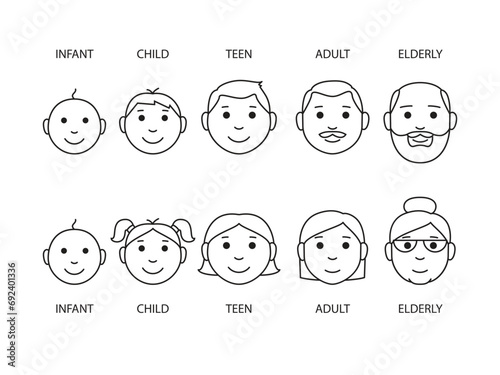 The stages of a human's growing up - infant, child, teen, adult, elderly. Collection of faces of men and women of different ages. Vector illustration isolated on white background photo