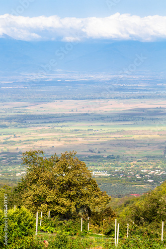 travel to Georgia - view of gardens and Alazan Valley from Bodbe Monastery in Kakheti region of Georgia on sunny autumn day photo