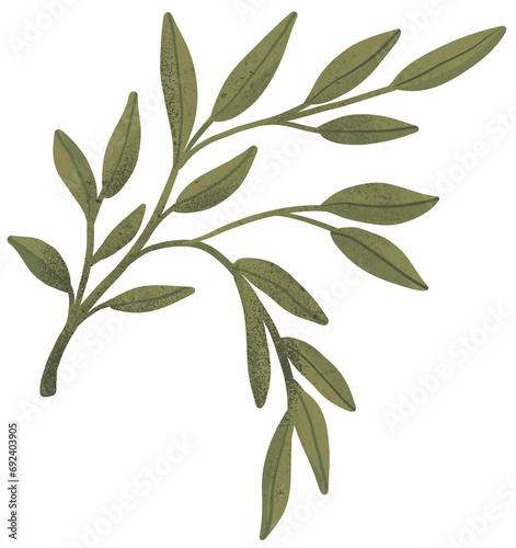 Green floral. Botanical green leaf.