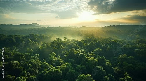 Beautiful green Amazon forest landscape at sunset. Adventure, explore, air dron view, vibe photo