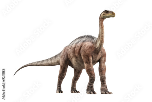 Gentle Giant  The Diplodocus Dinosaur Unveiled isolated on transparent background