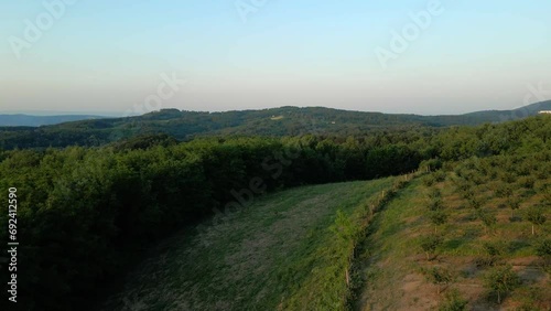 A drone flight above trees and grass on mountain Bukulja in late afternoon photo