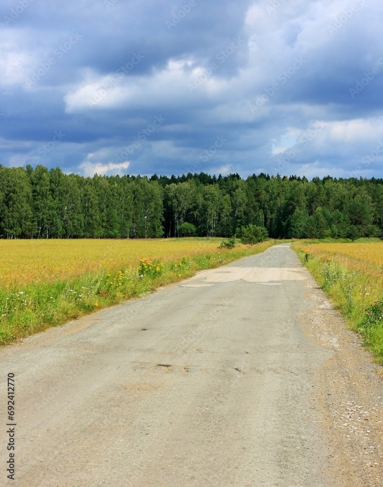Rural landscape with a dirt road through the field and forest.