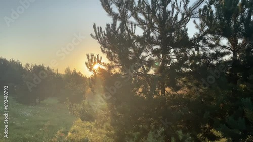 sunrise over morning fog sun shining beams through the air outdoors nature inspirational country side woods lanscape