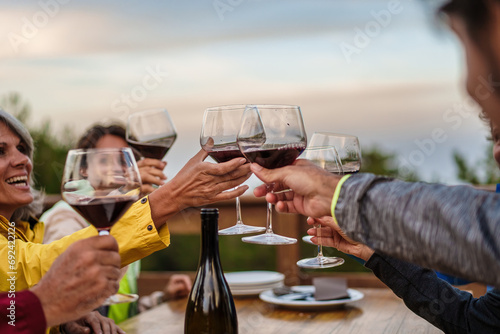 Group Toasting with Wine at Outdoor Gathering photo