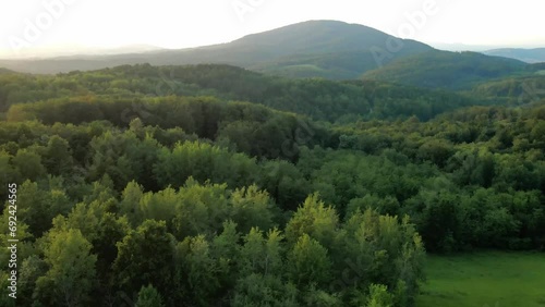 Drone above hunter's deer stand and over the dense woods surrounding a mountain