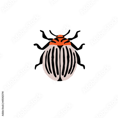 Realistic colorado beetle, cute potato bug. Farm plants vermin insect. Small harmful animal with antennas. Agriculture striped pest. Macro nature. Flat isolated hand drawn vector illustration on white
