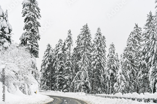 Lenzerheide, Valbella, Bergstrasse, Schneedecke, Lantsch, Lenz, Tiefencastel, Albula, Chur, Winterlandschaft, Alpen, Wald, Winter, Schnee, Schneefall, Gefahr, Graubünden, Schweiz photo