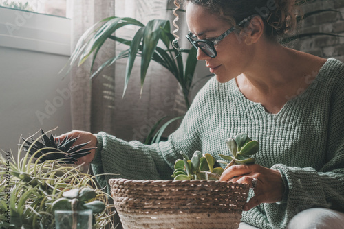 One woman at home sitting and doing gardening nature activity indoor with succulenta plants. Concept of natural lifestyle female people. Sustainable green indoor leisure activity indoor apartment photo