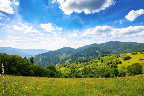 mountain landscape with grassy meadow. trees on the hills and rural valley in the distance beneath a blue sky with clouds