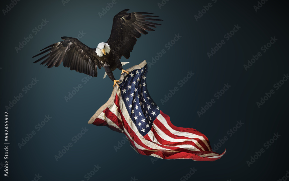 Obraz premium North American Bald Eagle with American flag