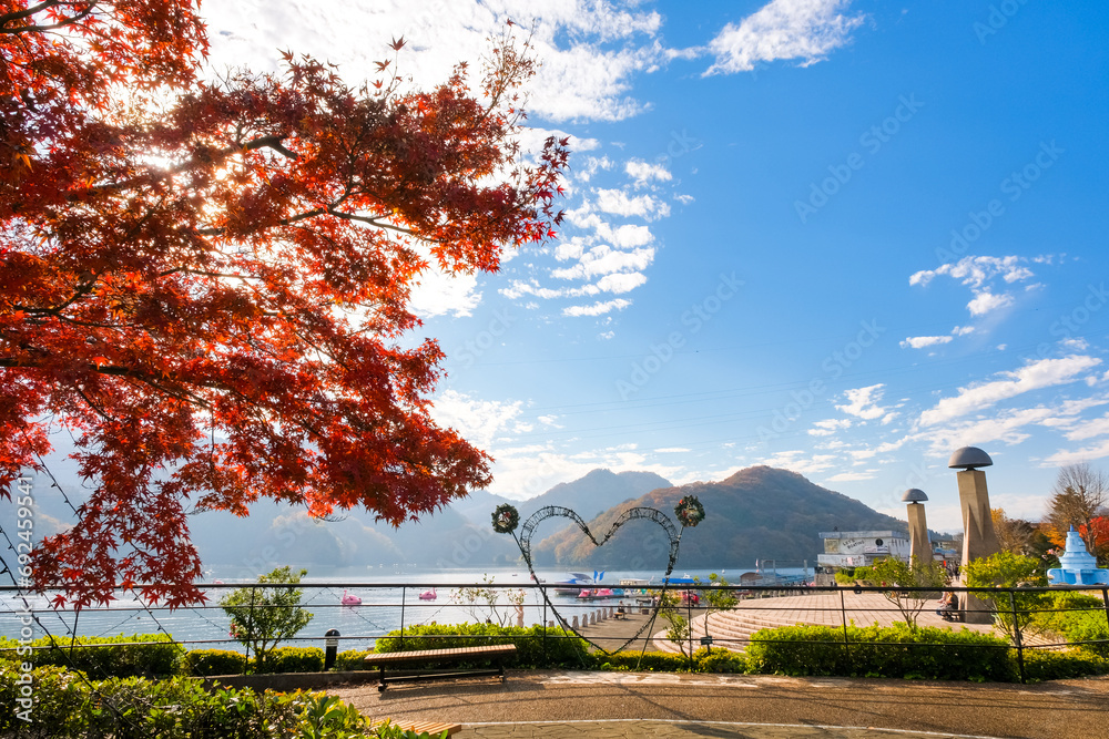 神奈川県相模原市 紅葉に染まる相模湖(相模湖公園)