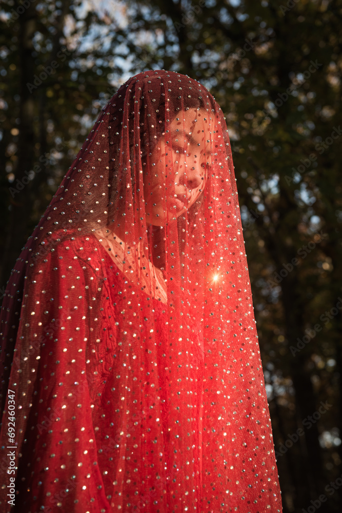 art portrait of woman in red dress with veil in nature Stock Photo ...