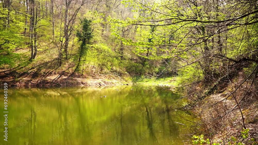 Beautiful sunlit lake Popovica in woods on mountain Fruska gora in Serbia Beautiful sunlit lake Popovica in woods on mountain Fruska gora in Serbia