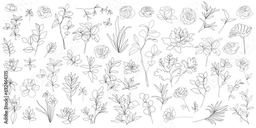 Vector set of one line art flowers, continuous monoline plants, roses, leaves, branches. Blossom logos, minimalist illustration. Simple sketch, black and white. Use as floral icons and logos. © marylia17