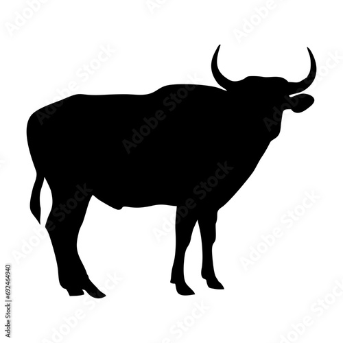 bull silhouette on white background
