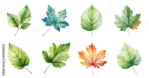 set of watercolor leaves. 