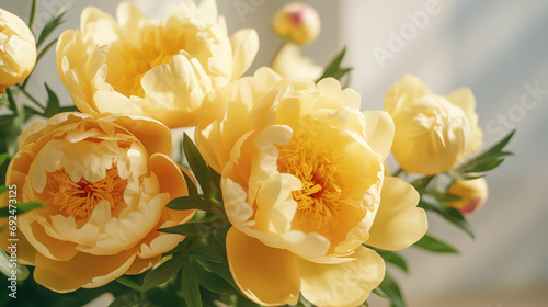 Fototapeta Naklejka Na Ścianę i Meble -  Bouquet of stylish peonies close-up. Yellow peony flowers. Close-up of flower petals. Floral greeting card or wallpaper. Delicate abstract floral pastel background. Greeting card. Generated AI