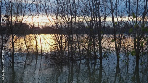 Tranquil scenery sunset at the Sava river Sremska Macvanska Mitrovica, Serbia. Perfect reflection of trees and afterglow. Backlight and black tree trunks. Habitat and wintering area for ducks, drakes. photo