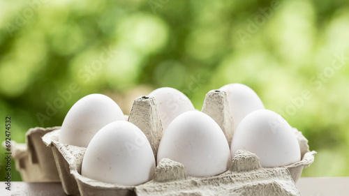 Close up view of half a dozen white eggs in a bowl or egg cup with selective focus and out of focus natural background for copy space. Dozen white eggs in a cardboard egg cup with a green background. photo