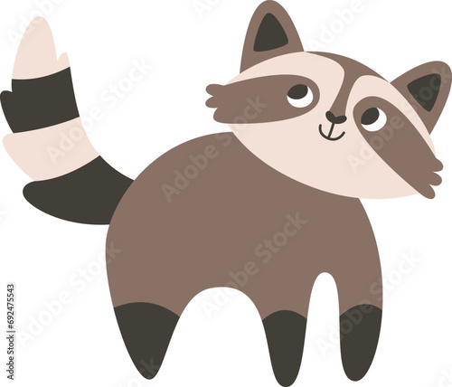 Raccoon Animal Staying