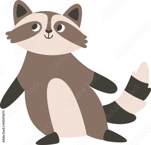 Raccoon Animal Staying