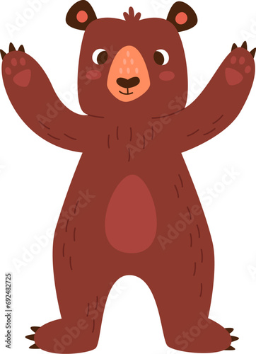 Bear Animal Staying