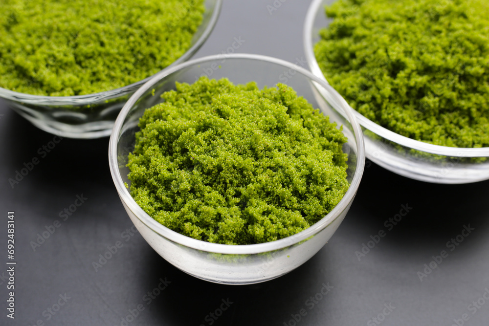 Wolffia globosa or swamp algae, water meal Wolffia globosa or swamp algae, water meal