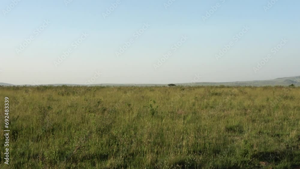 Beautiful sunset landscape in the african savannah. Beautiful sunset landscape in the african savannah.