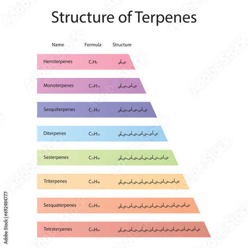 Diagram of Terpenes structure - Hemiterpenes, Monoterpenes, Diterpenes, Tetraterpenes and more - skeletal structure. 