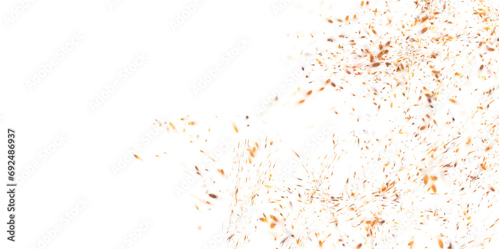 spark from a campfire on a white background. It can be used for backgrounds, wallpapers, or as a design element in graphic design projects